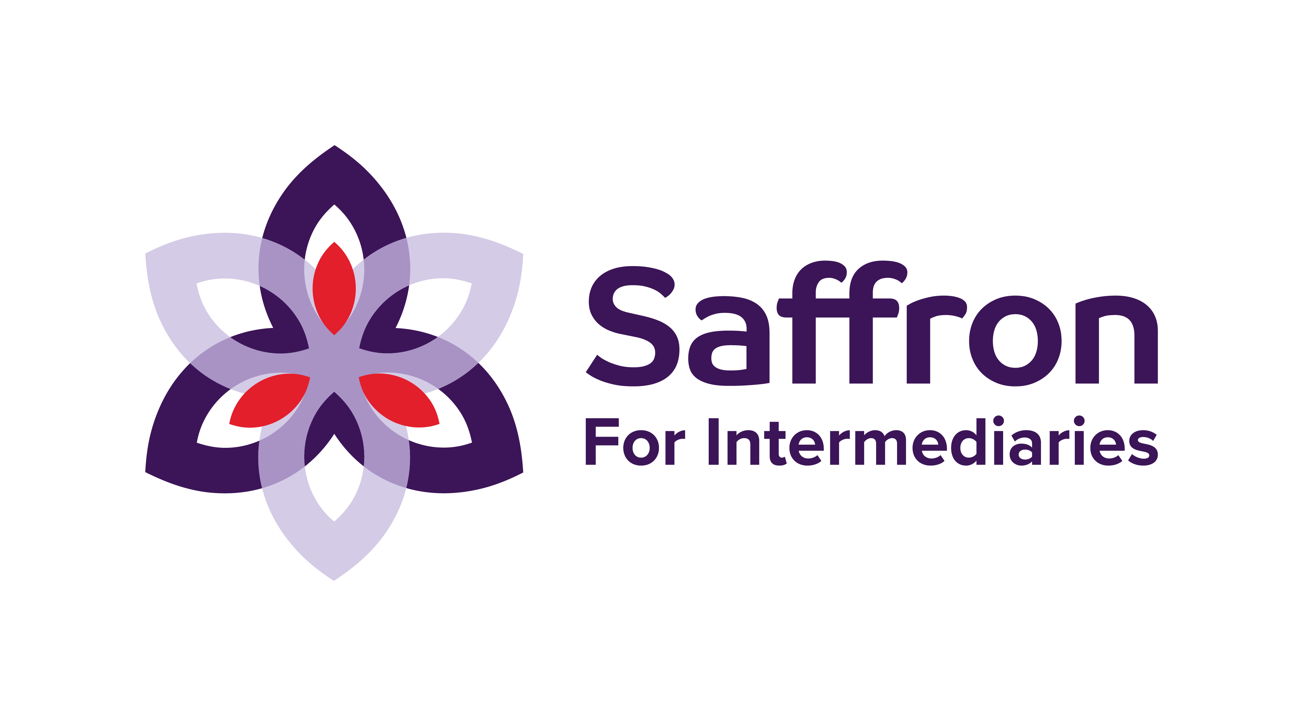 Saffron-logo-100x50.bmp