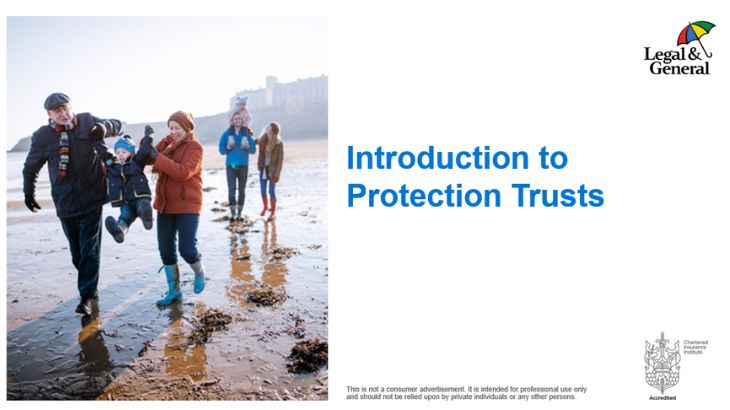 Introduction-to-protection-trusts