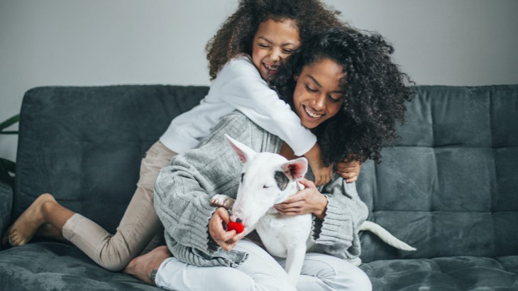 Playing with dog