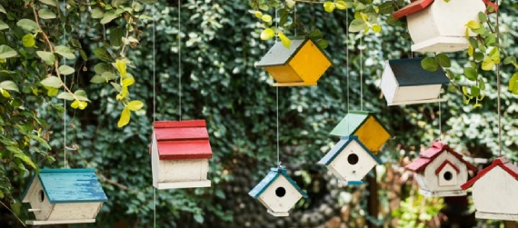 Hanging bird houses